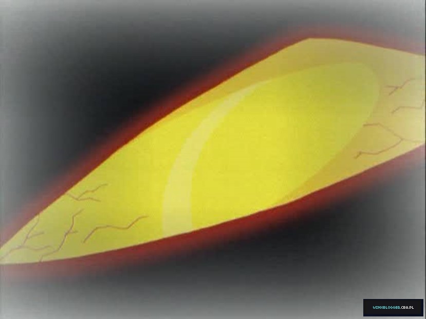 bscap0103~8.jpg
