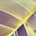 bscap0032~26.jpg
