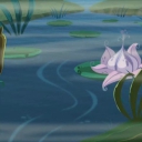 bscap0077~6.jpg