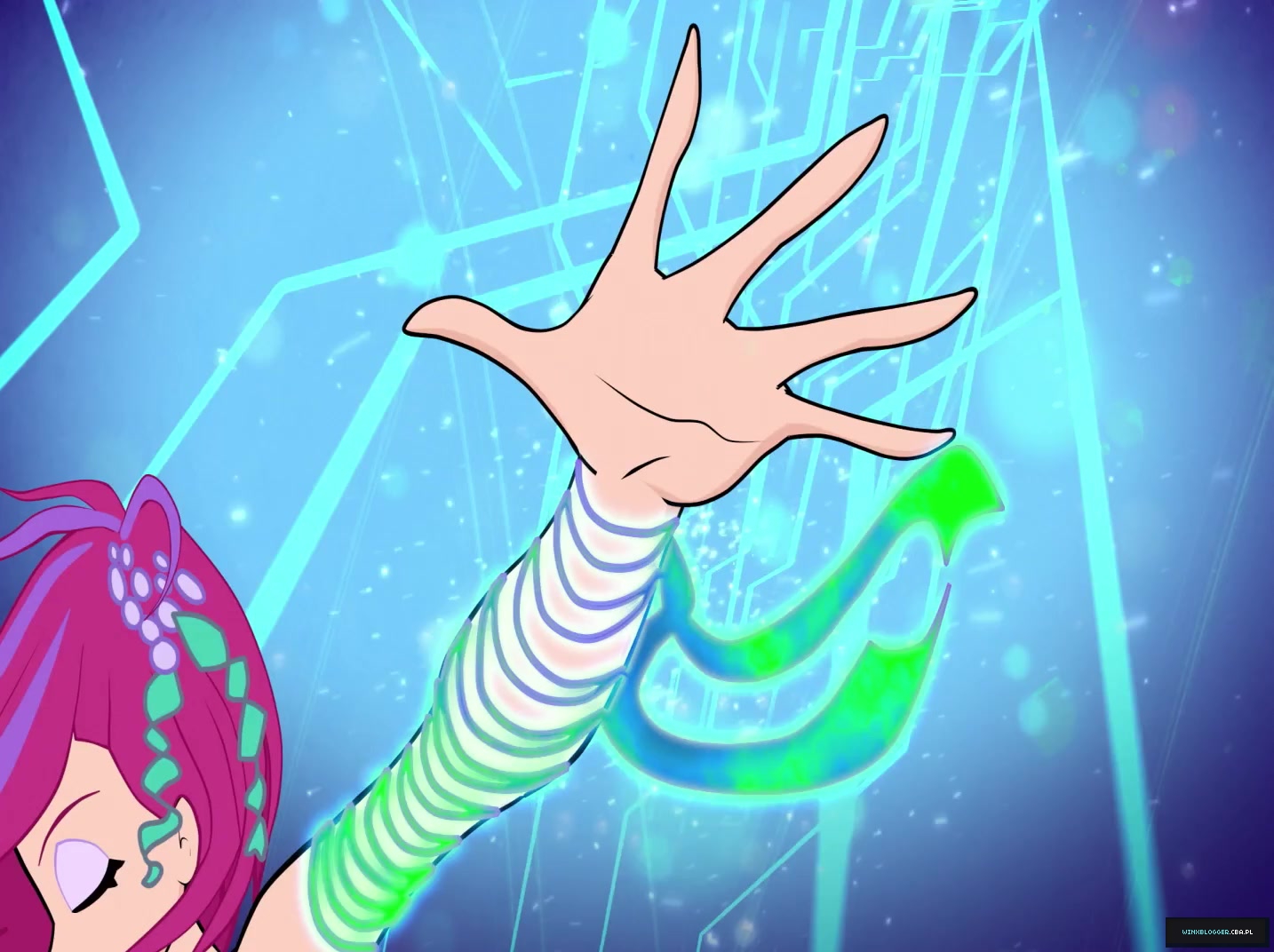 2811529~14.jpg