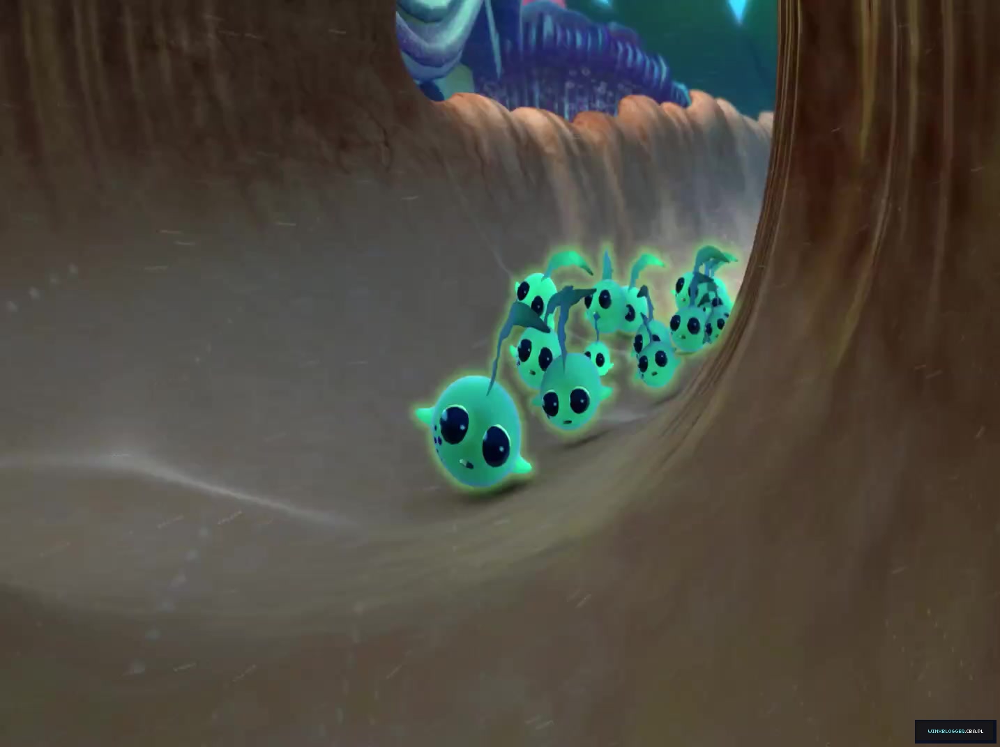 2813629~52.jpg