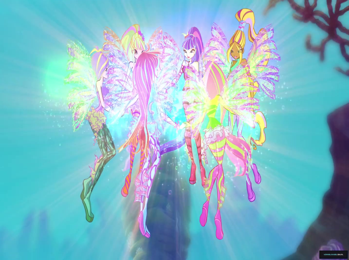 2826829~52.jpg