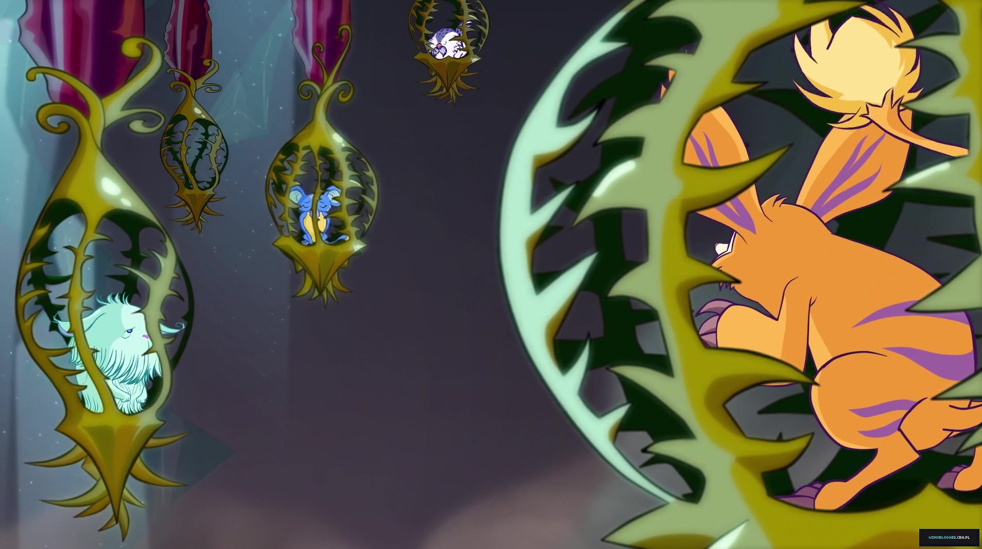 __28329~25.jpg
