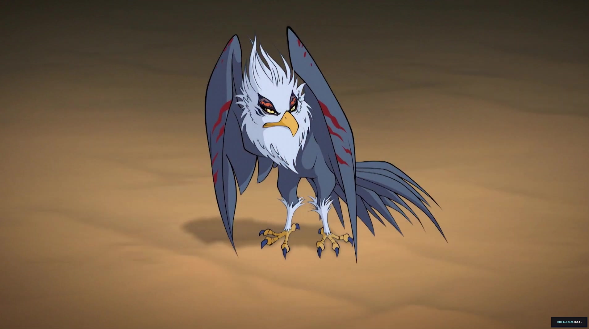 __284229~46.jpg
