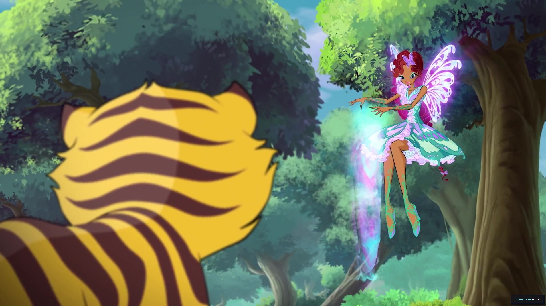 __2848629~10.jpg