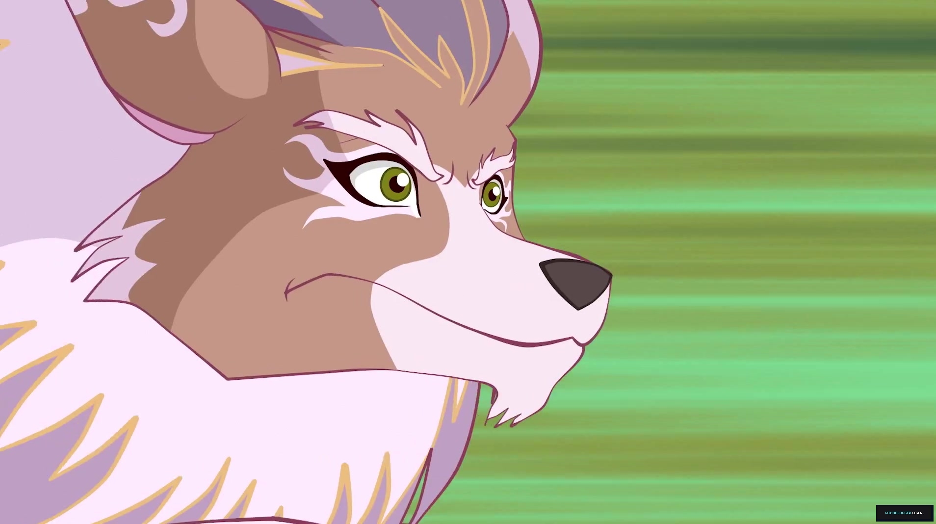 __285129~22.jpg