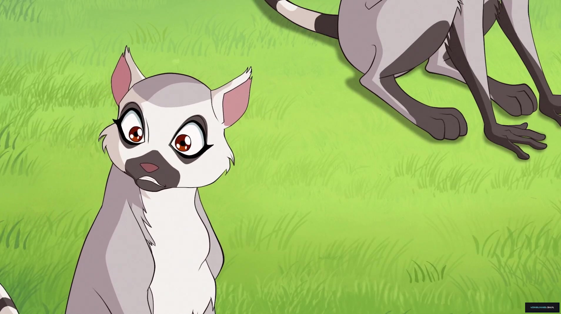 __285929~41.jpg