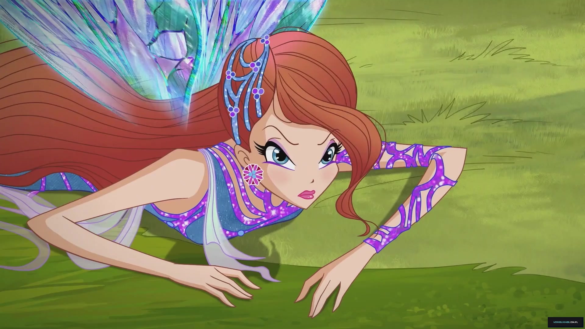 __288429~67.jpg