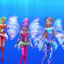 2813729~60.jpg
