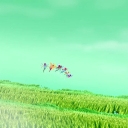 285629~70.jpg