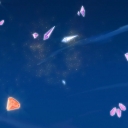 287529~31.jpg