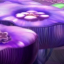 Filename=__2851029~14.jpg
Filesize=571KiB
Dimensions=1908x1068
Date added=Dec 08, 2015 __2851029~14.jpg