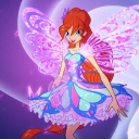 __286229~14.jpg
