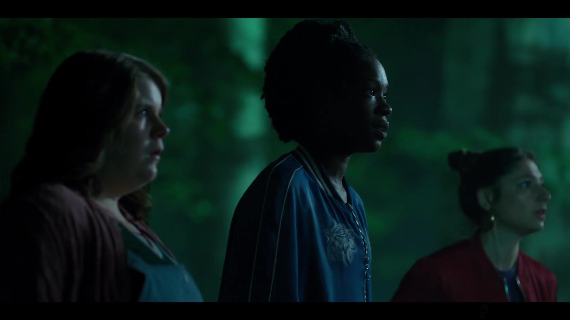 28c29wb_pl2881929.jpg