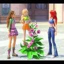 144_28winxblogger_pl29~0.jpg