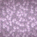 28c29wb_pl287529~4.jpg