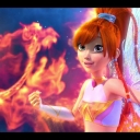 winxblogger_pl28012329~0.jpg