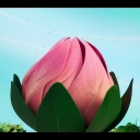 winxblogger_pl28015829.jpg
