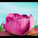 winxblogger_pl28015929.jpg