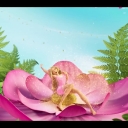winxblogger_pl28016229.jpg