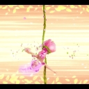 winxblogger_pl28022029.jpg