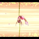 winxblogger_pl28022629.jpg