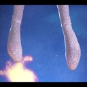 Filename=winxblogger_pl28037729.jpg
Filesize=574KiB
Dimensions=1920x1080
Date added=Nov 22, 2025 winxblogger_pl28037729.jpg