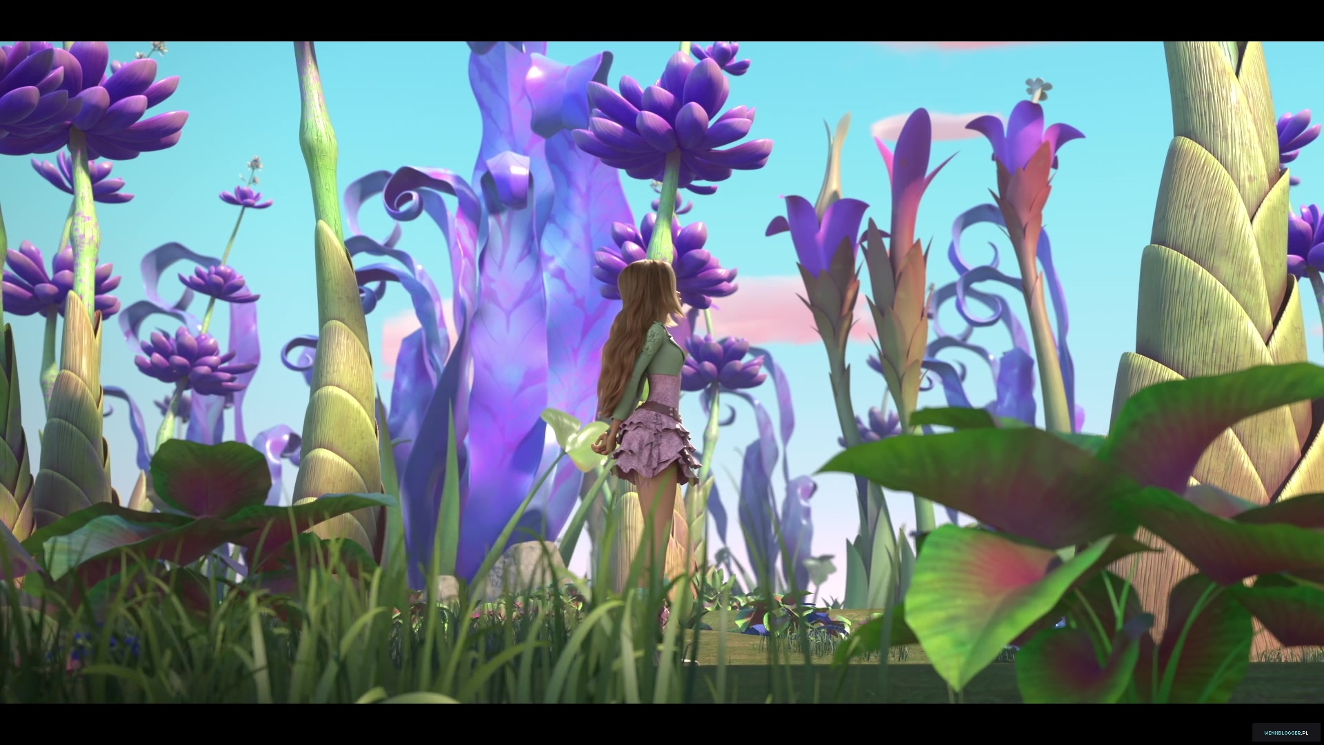 winxblogger_pl28010829~8.jpg