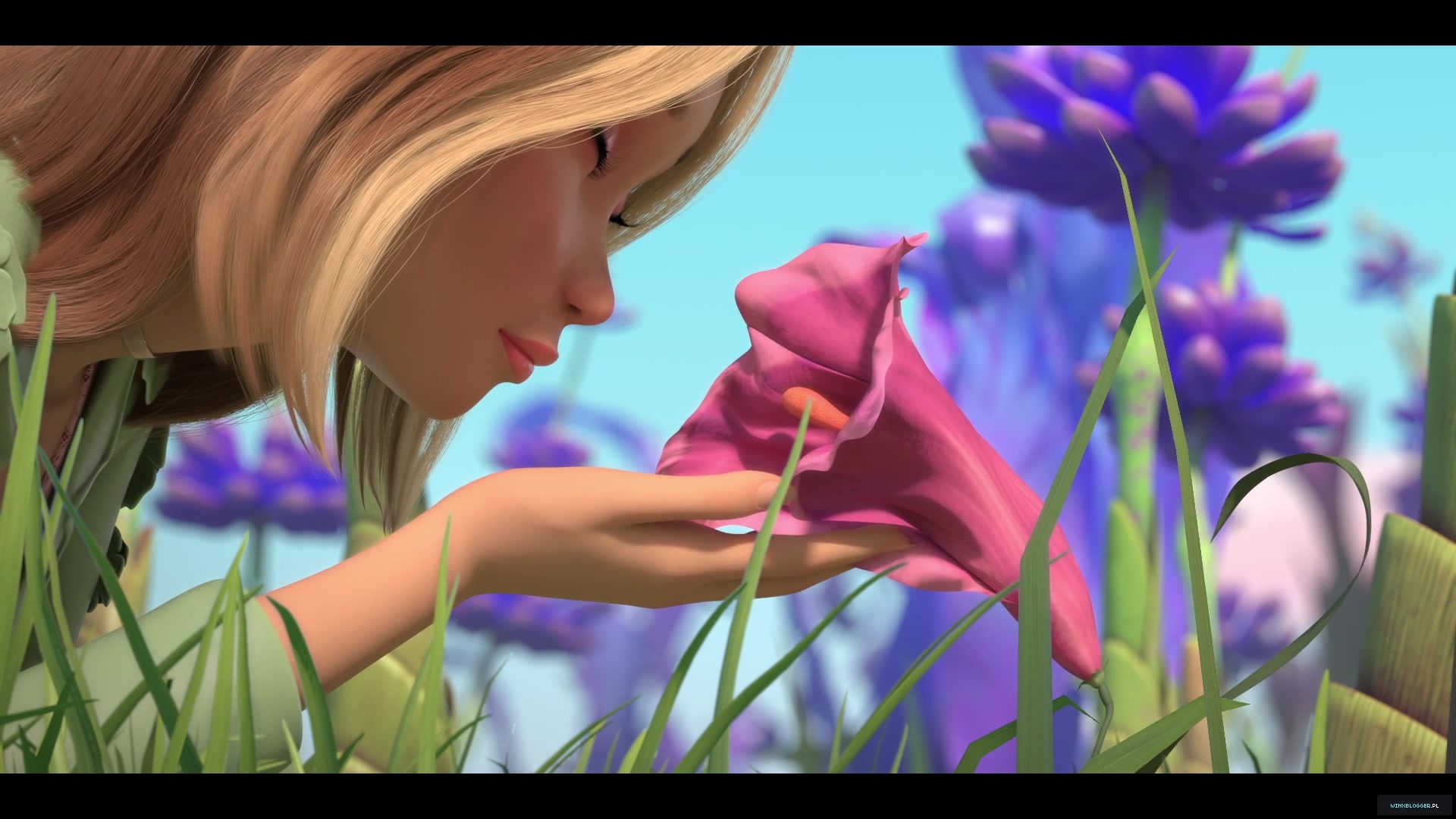 winxblogger_pl28010929~8.jpg
