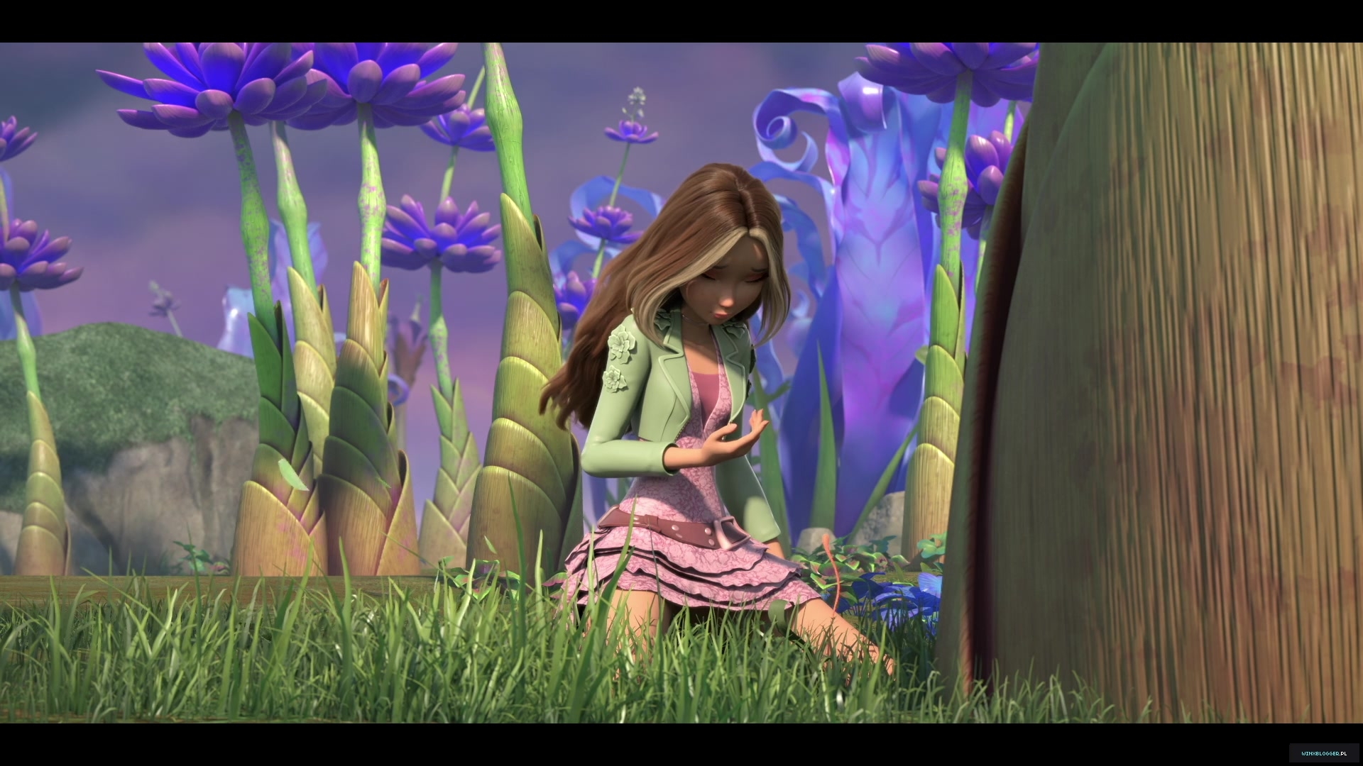 winxblogger_pl28011029~8.jpg
