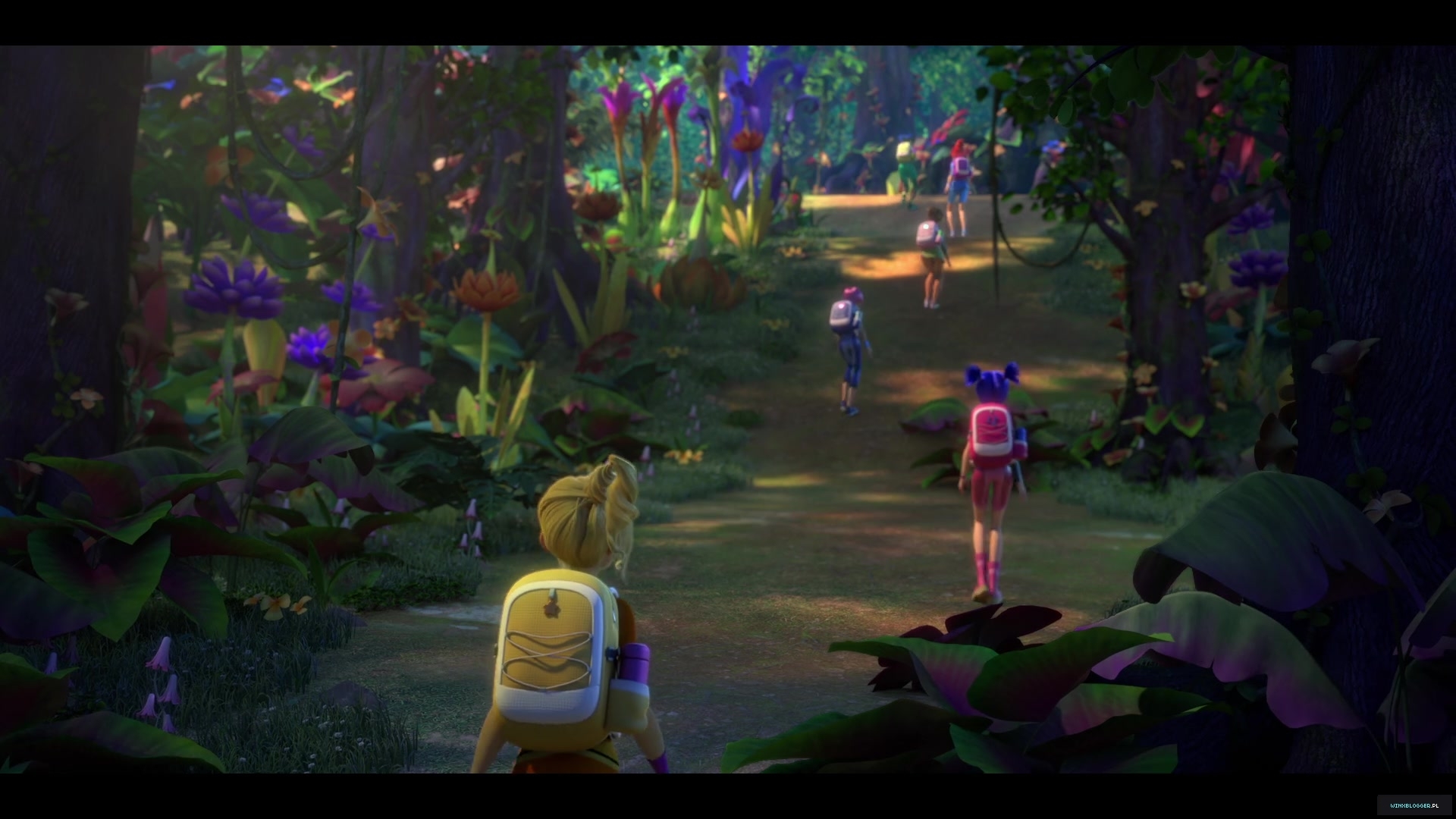 winxblogger_pl28012129~5.jpg