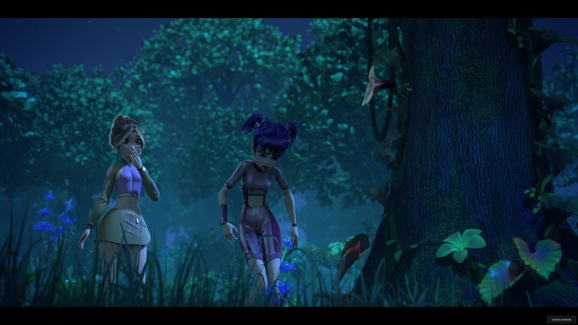 winxblogger_pl28015429~5.jpg