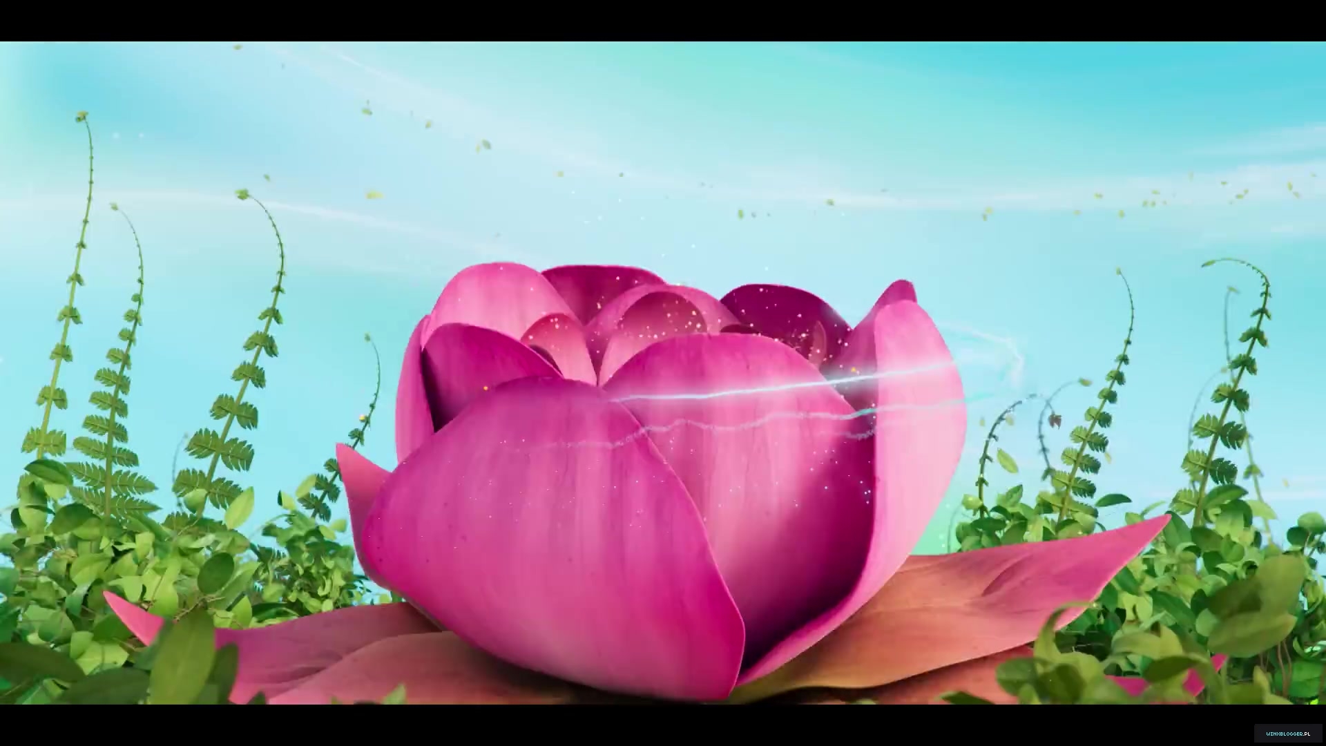 winxblogger_pl28015929.jpg