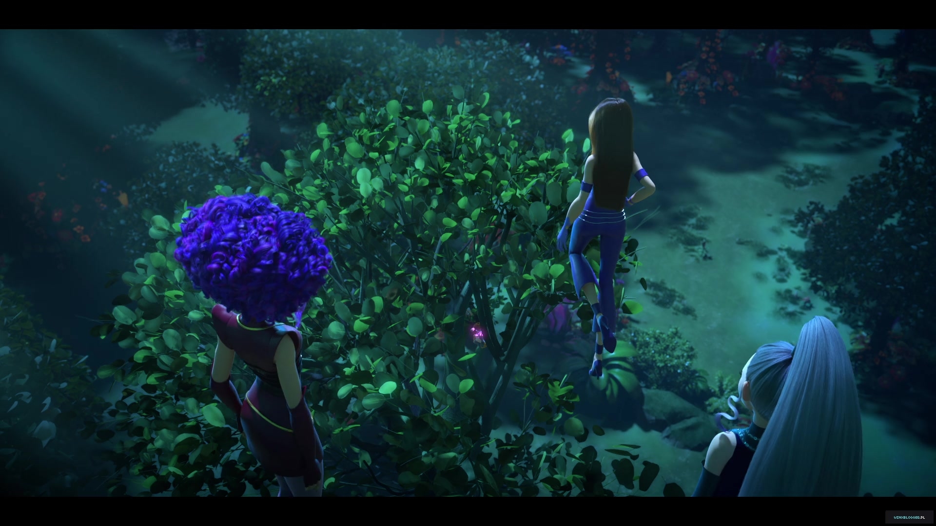 winxblogger_pl28016729~4.jpg