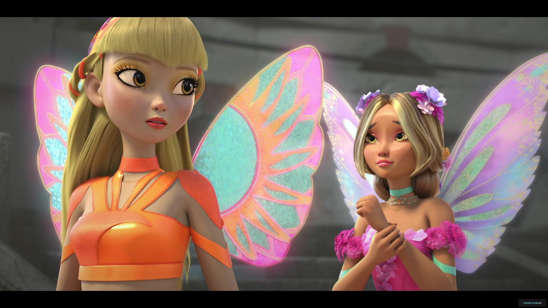 winxblogger_pl28018429~9.jpg