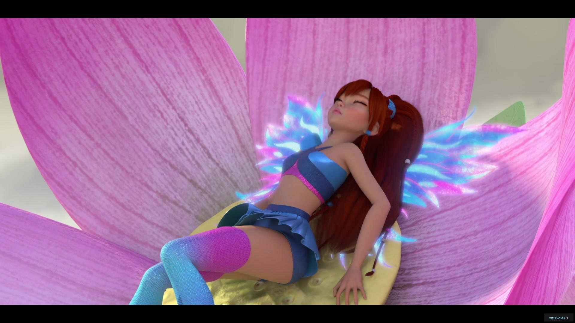 winxblogger_pl28020229~9.jpg