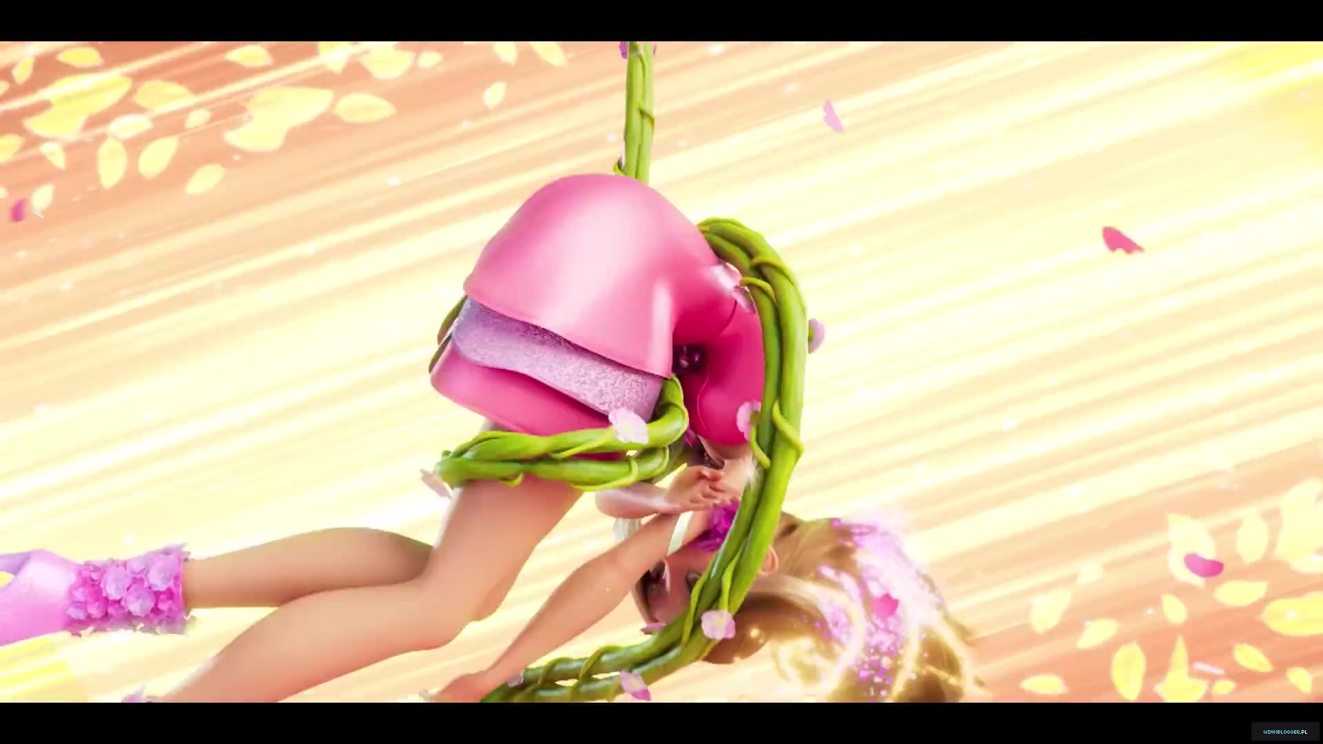 winxblogger_pl28021329.jpg
