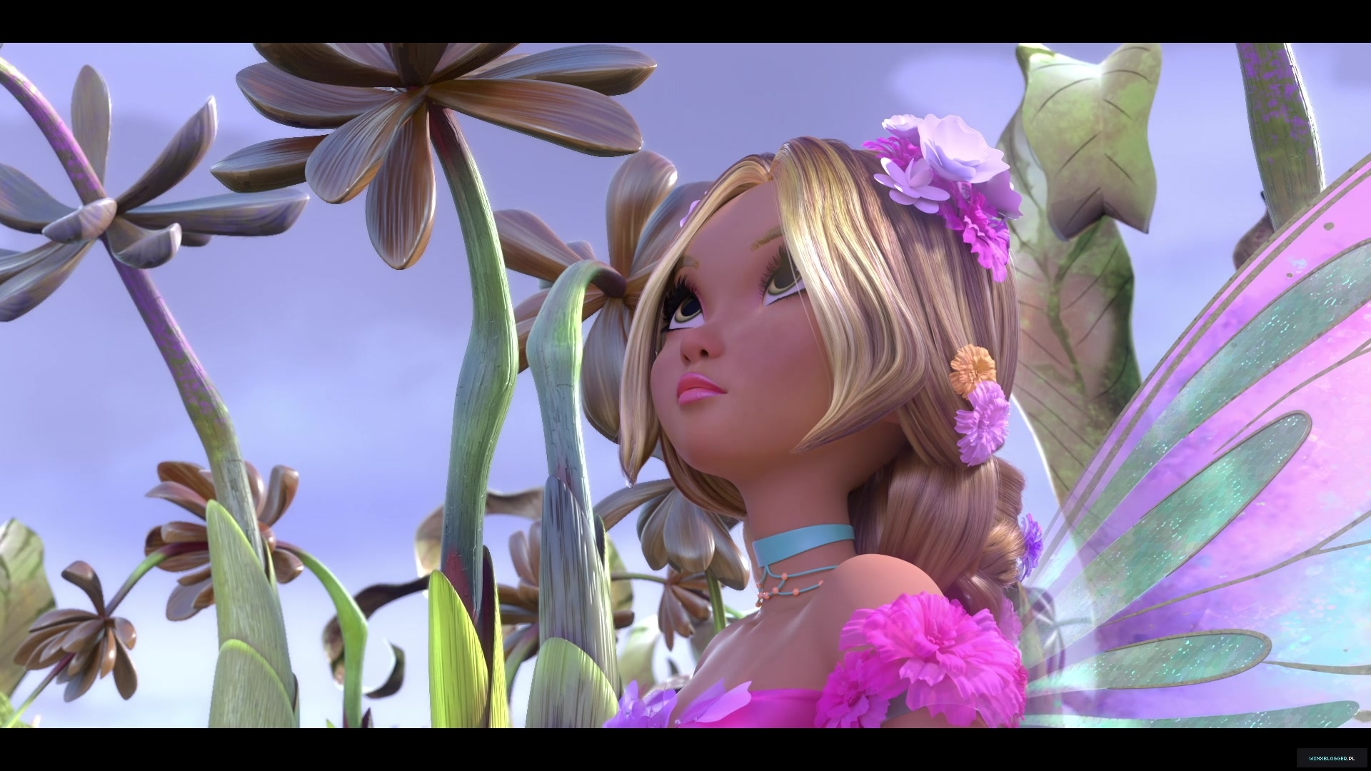 winxblogger_pl28030029~7.jpg