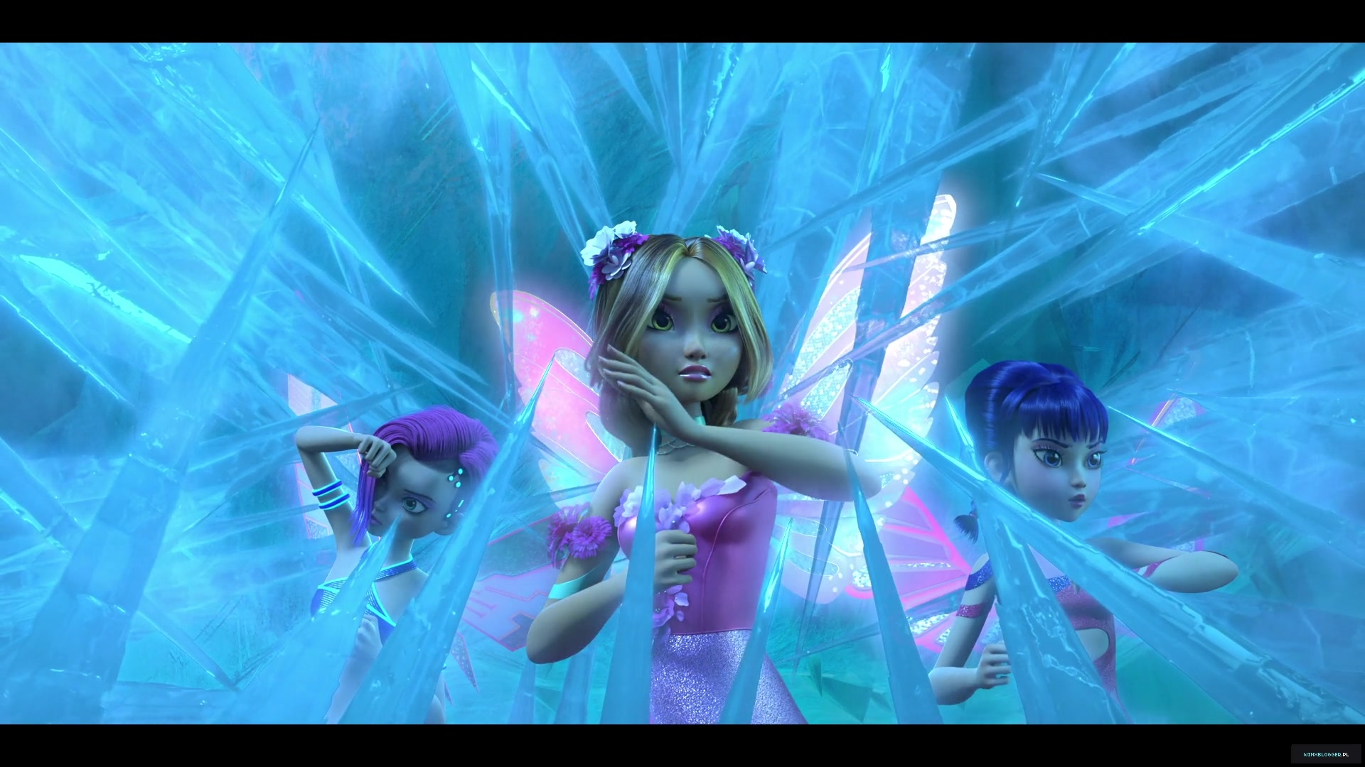 winxblogger_pl28035129~1.jpg