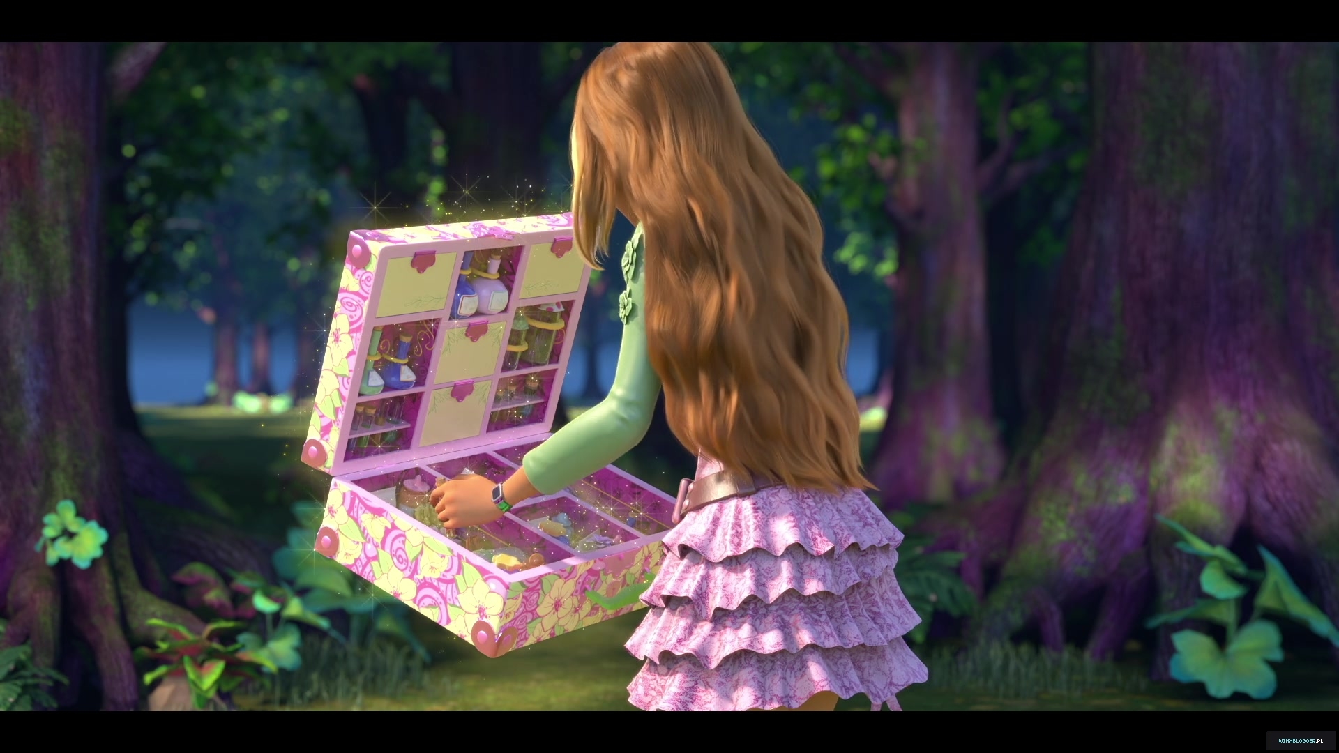 winxblogger_pl2804129~4.jpg