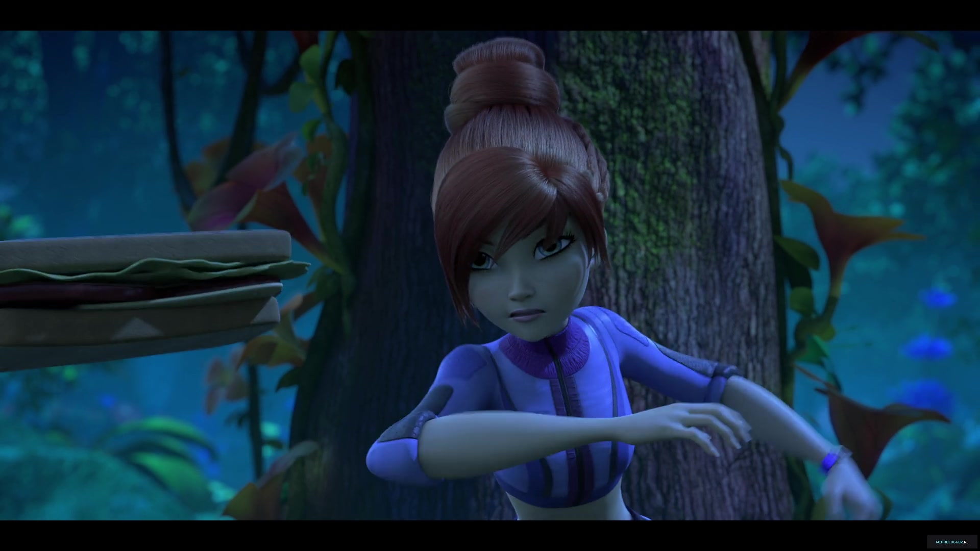 winxblogger_pl28044129~4.jpg