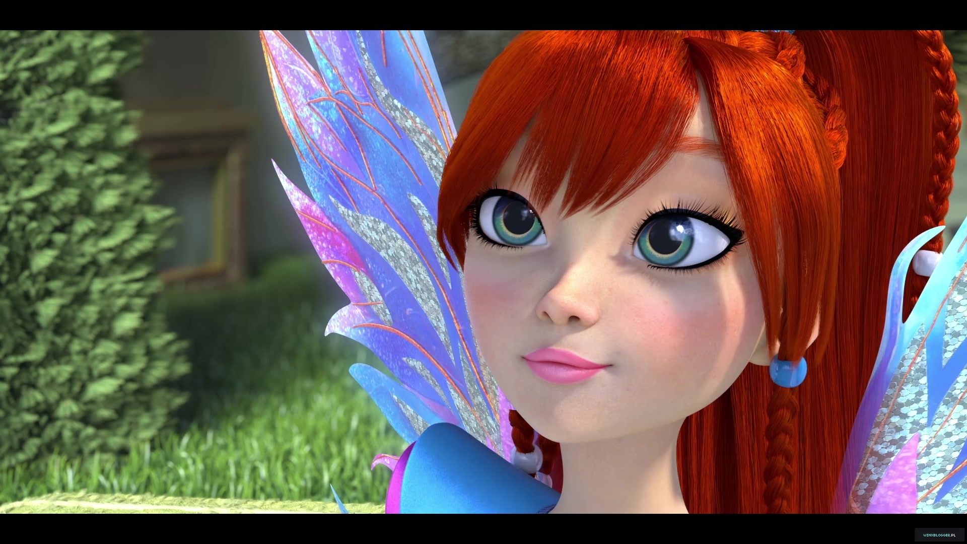 winxblogger_pl28049029~1.jpg